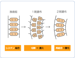 クリープパーマって？