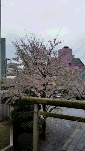 20150403_121013