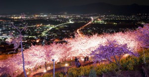 4月のお休み