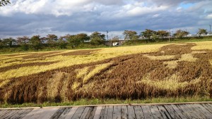 田舎館1