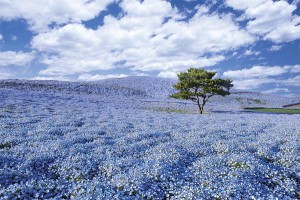 ５月のお休み