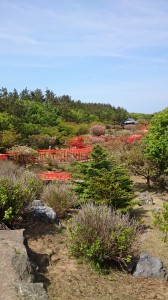 鳥井